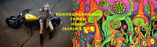 mdpv Новокубанск
