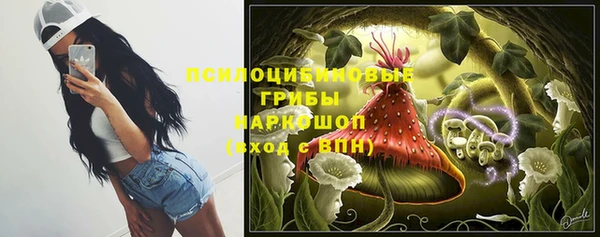 дурь Новозыбков