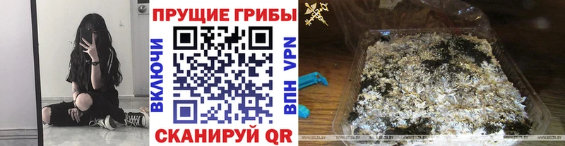 Галлюциногенные грибы Magic Shrooms  купить   Партизанск 
