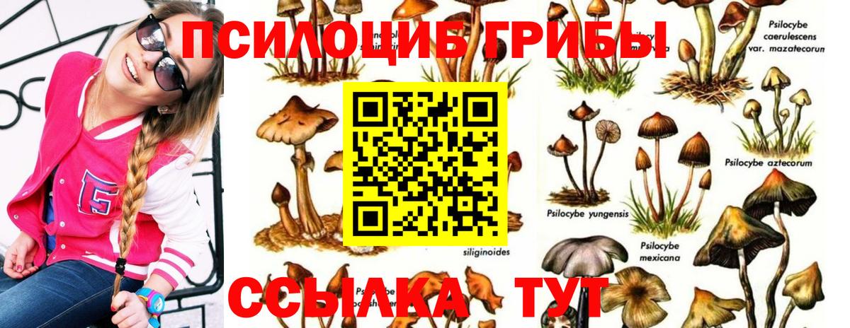 Псилоцибиновые грибы прущие грибы Партизанск