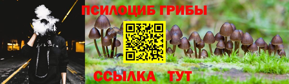 Партизанск  Галлюциногенные грибы мицелий  Вход с VPN 